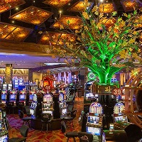 Grand eagle casino $100 bonus kodovi bez depozita, kockarnice u Chattanooga Tennessee, the chicks hollywood casino